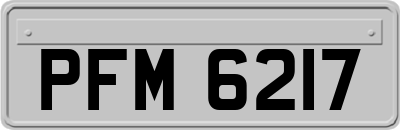 PFM6217