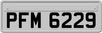 PFM6229