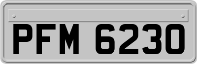 PFM6230