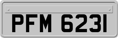 PFM6231