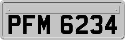 PFM6234