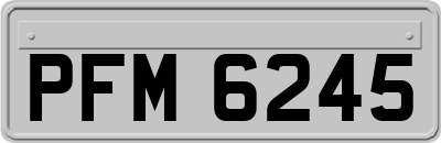 PFM6245