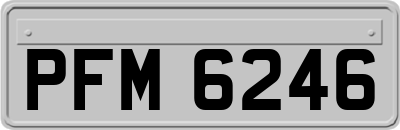 PFM6246