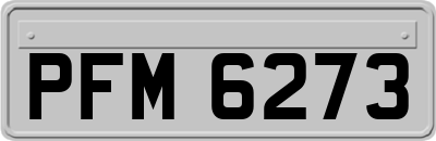 PFM6273