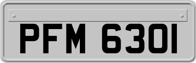 PFM6301