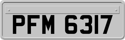 PFM6317