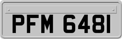 PFM6481