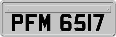 PFM6517