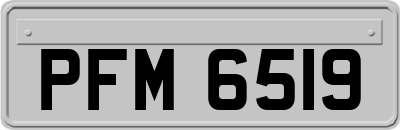 PFM6519