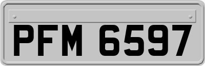 PFM6597