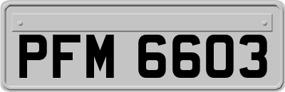 PFM6603