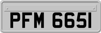 PFM6651