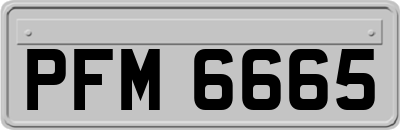 PFM6665