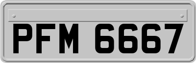 PFM6667