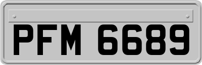 PFM6689