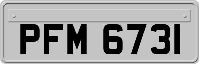 PFM6731