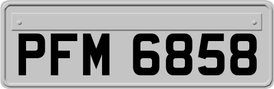 PFM6858