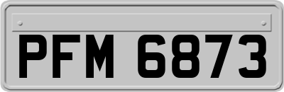 PFM6873