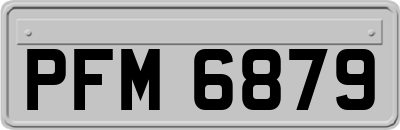 PFM6879
