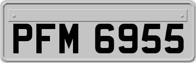 PFM6955