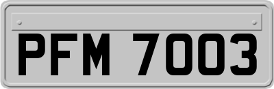 PFM7003