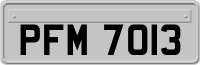 PFM7013