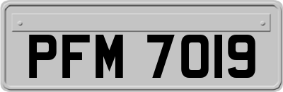PFM7019