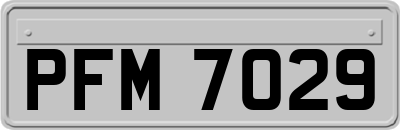 PFM7029