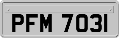 PFM7031