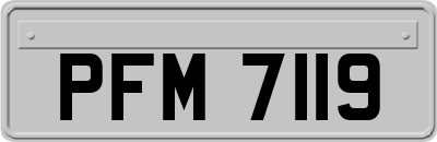 PFM7119