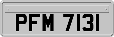 PFM7131