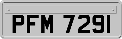 PFM7291