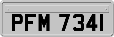 PFM7341