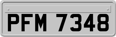 PFM7348