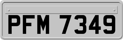 PFM7349