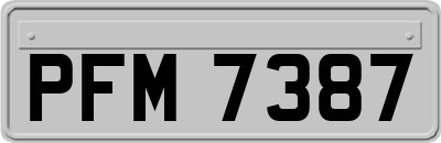 PFM7387