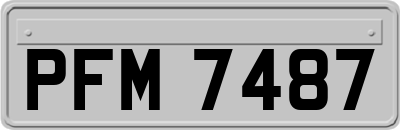 PFM7487