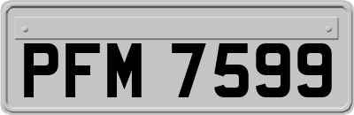 PFM7599