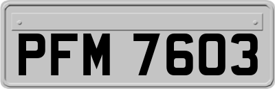 PFM7603