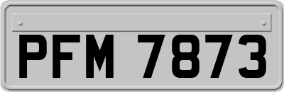 PFM7873