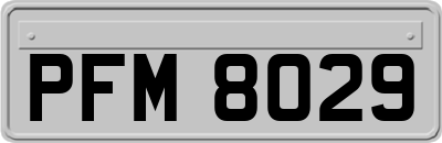 PFM8029