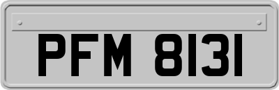 PFM8131