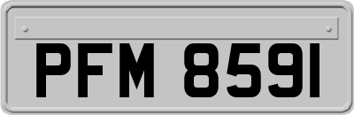 PFM8591