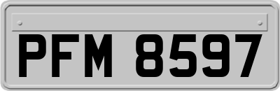 PFM8597