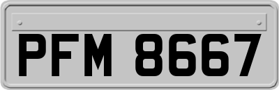 PFM8667