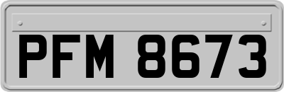 PFM8673