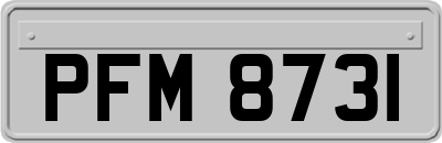 PFM8731