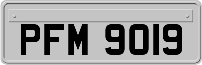 PFM9019