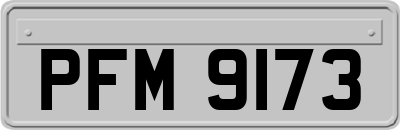 PFM9173