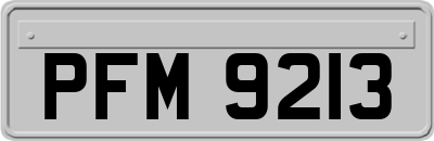 PFM9213